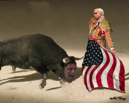 Obama Bull